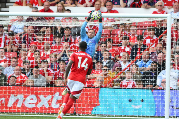 由此可見 由此可見